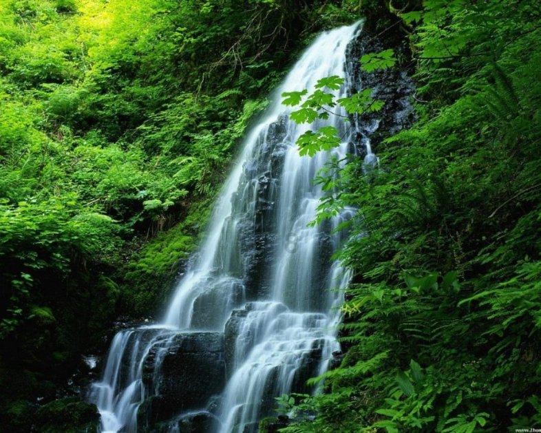 荣昌生物（09995.HK）1月19日收盘跌14.34%，主力资金净流出316.24万港元